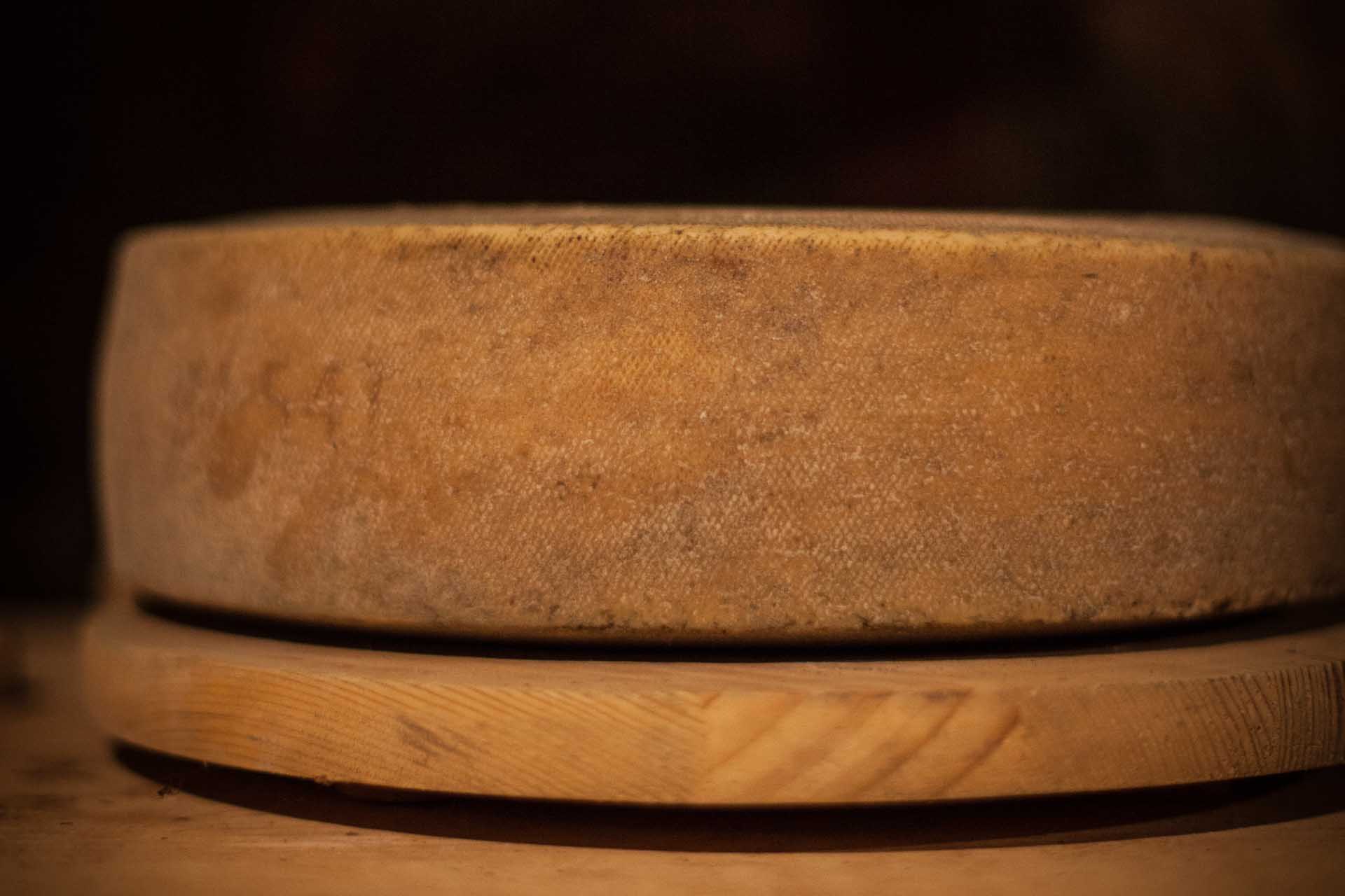Forma di formaggio latteria - Macelleria Beccalli